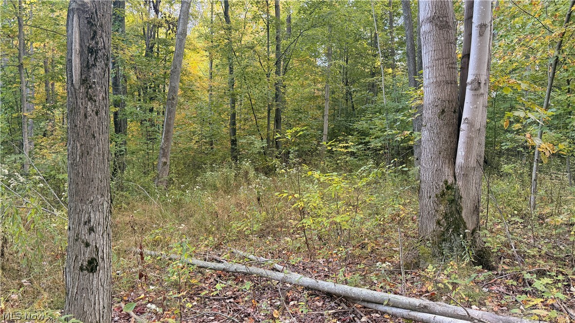 Munson Hill Road Ashtabula OH 44004