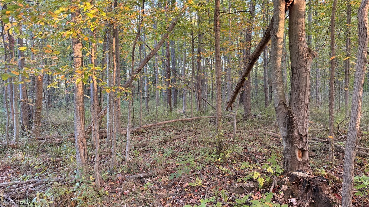 Munson Hill Road Ashtabula OH 44004
