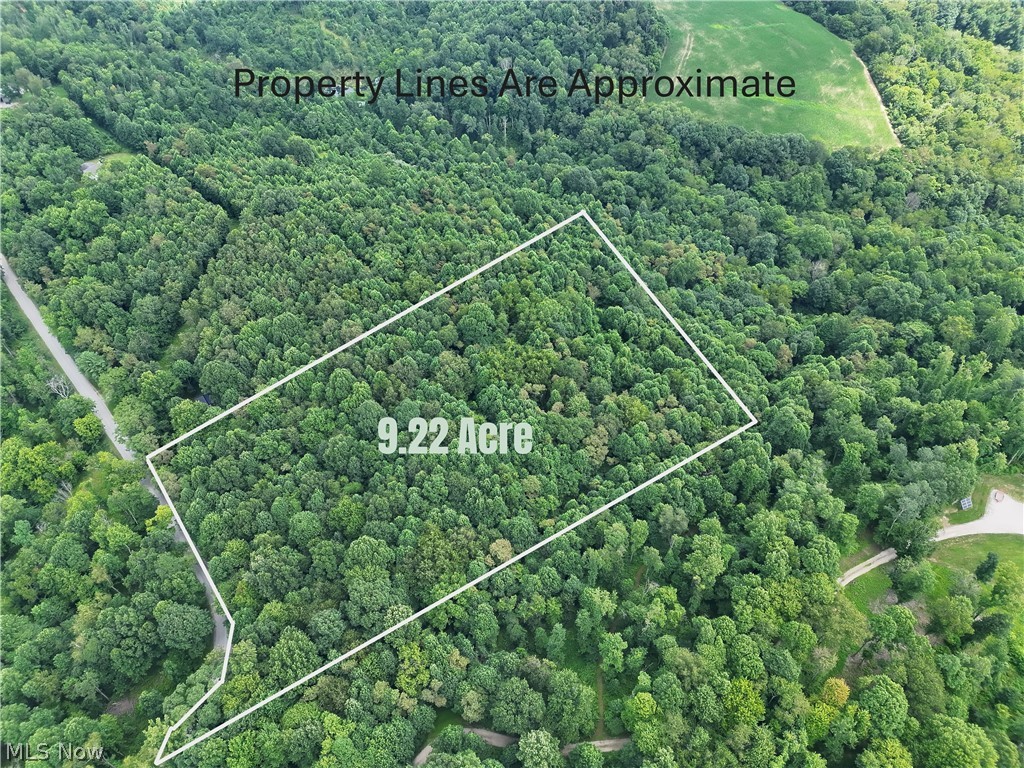 260 Ocelot Road NE Salineville OH 43945