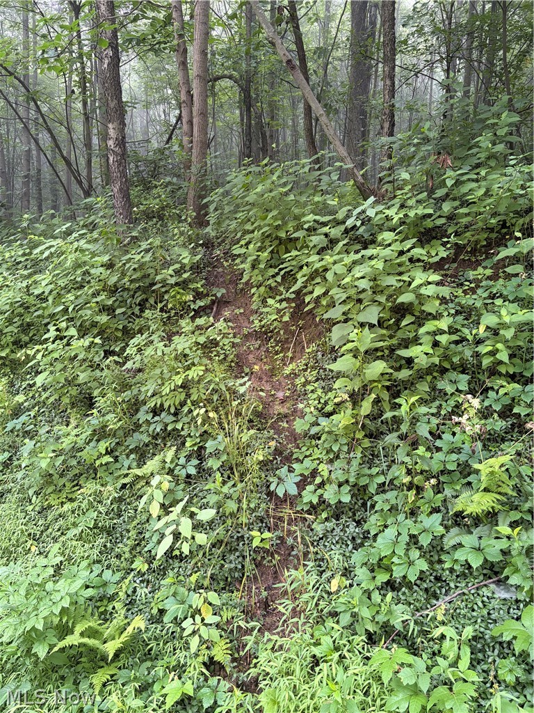 260 Ocelot Road NE Salineville OH 43945