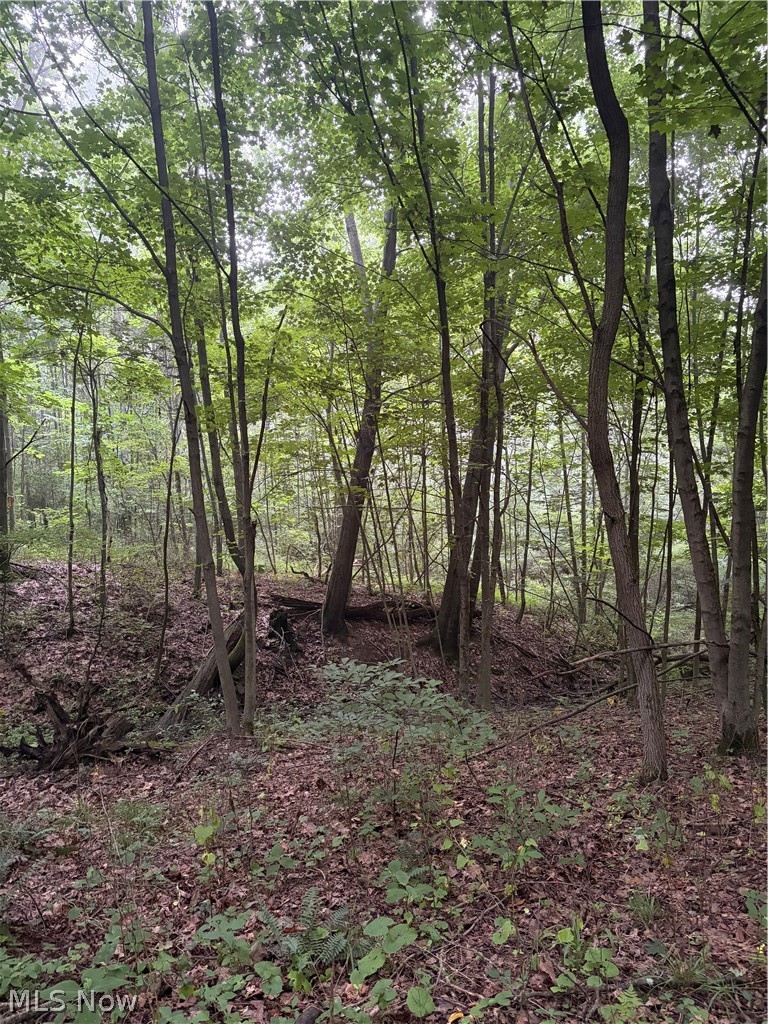 260 Ocelot Road NE Salineville OH 43945
