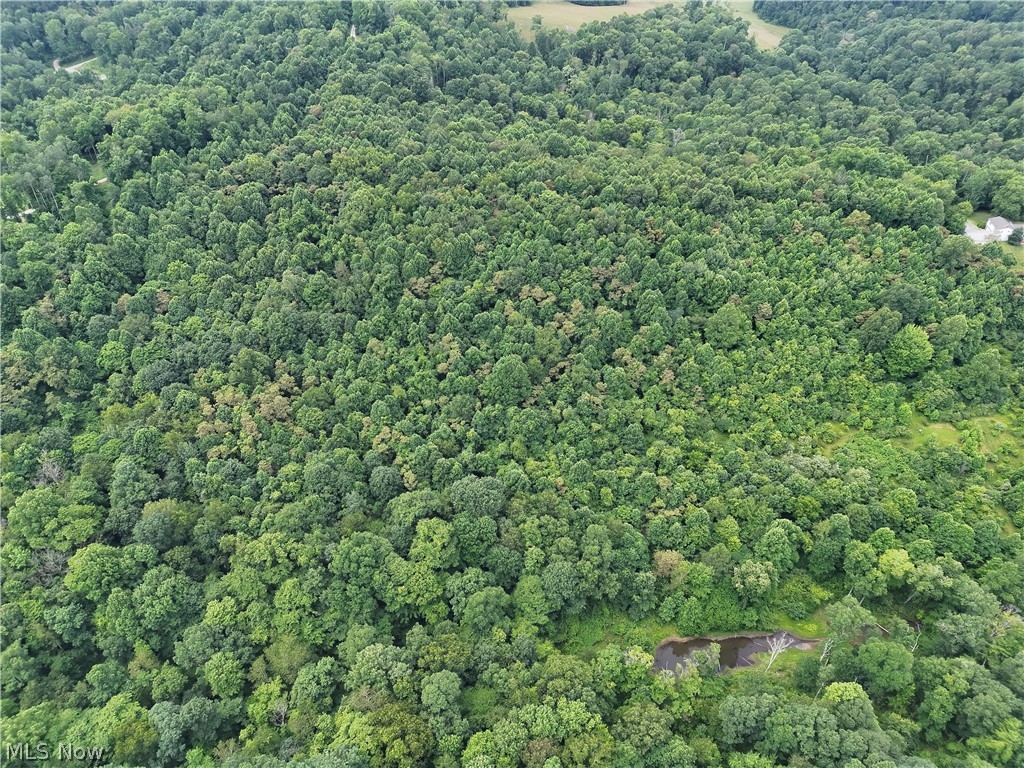 260 Ocelot Road NE Salineville OH 43945