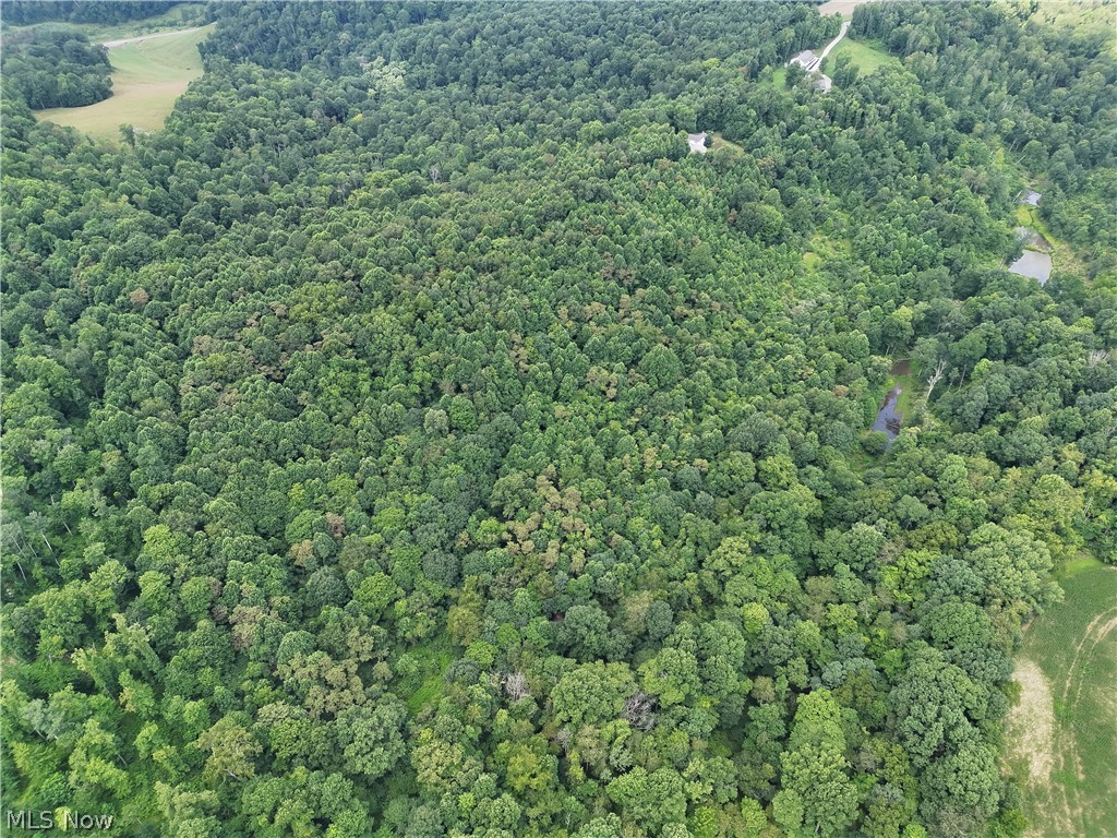 260 Ocelot Road NE Salineville OH 43945