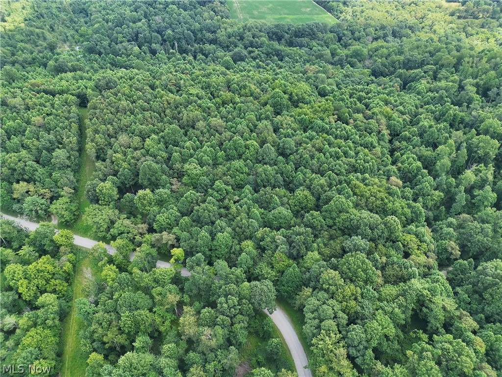 260 Ocelot Road NE Salineville OH 43945