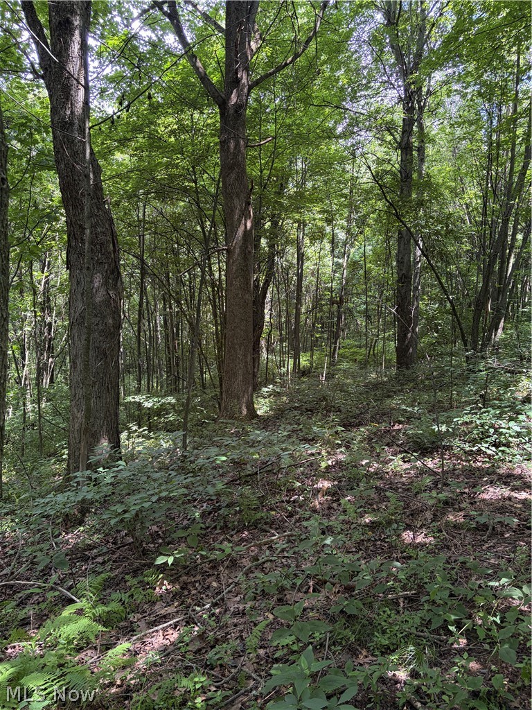 260 Ocelot Road NE Salineville OH 43945