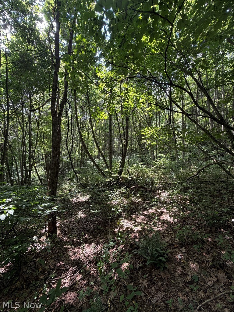 260 Ocelot Road NE Salineville OH 43945