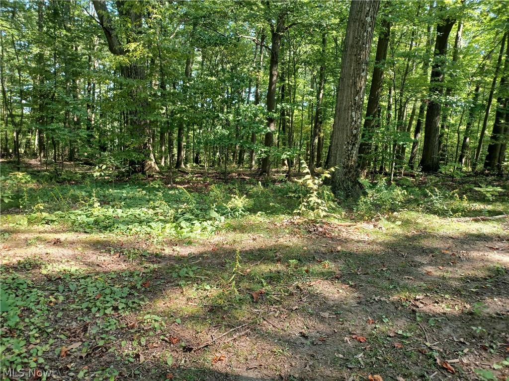 695 S Hubbard Road Lowellville OH 44436