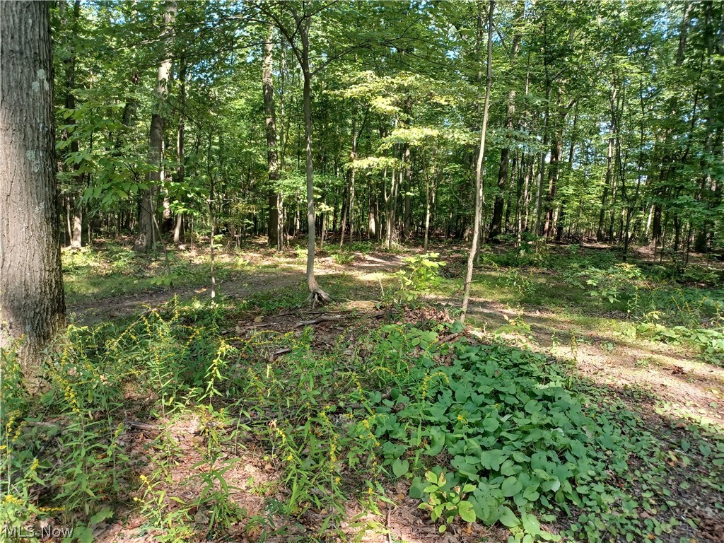 695 S Hubbard Road Lowellville OH 44436