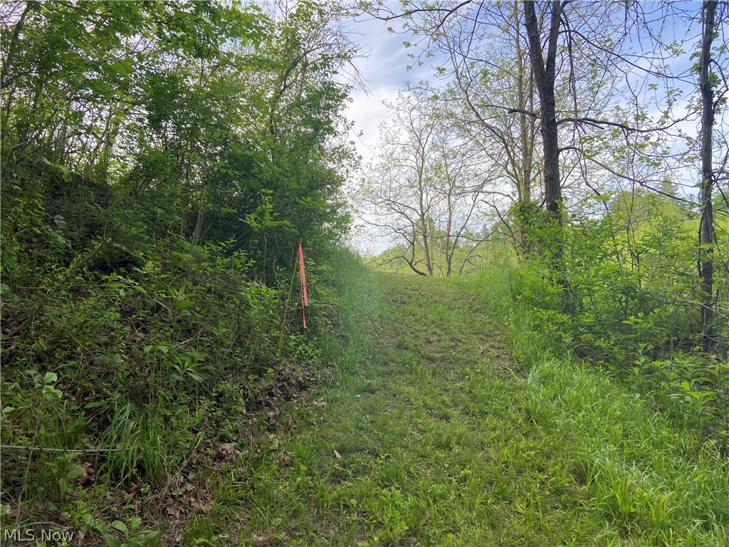3955 Wedgewood Drive Mcconnelsville OH 43756