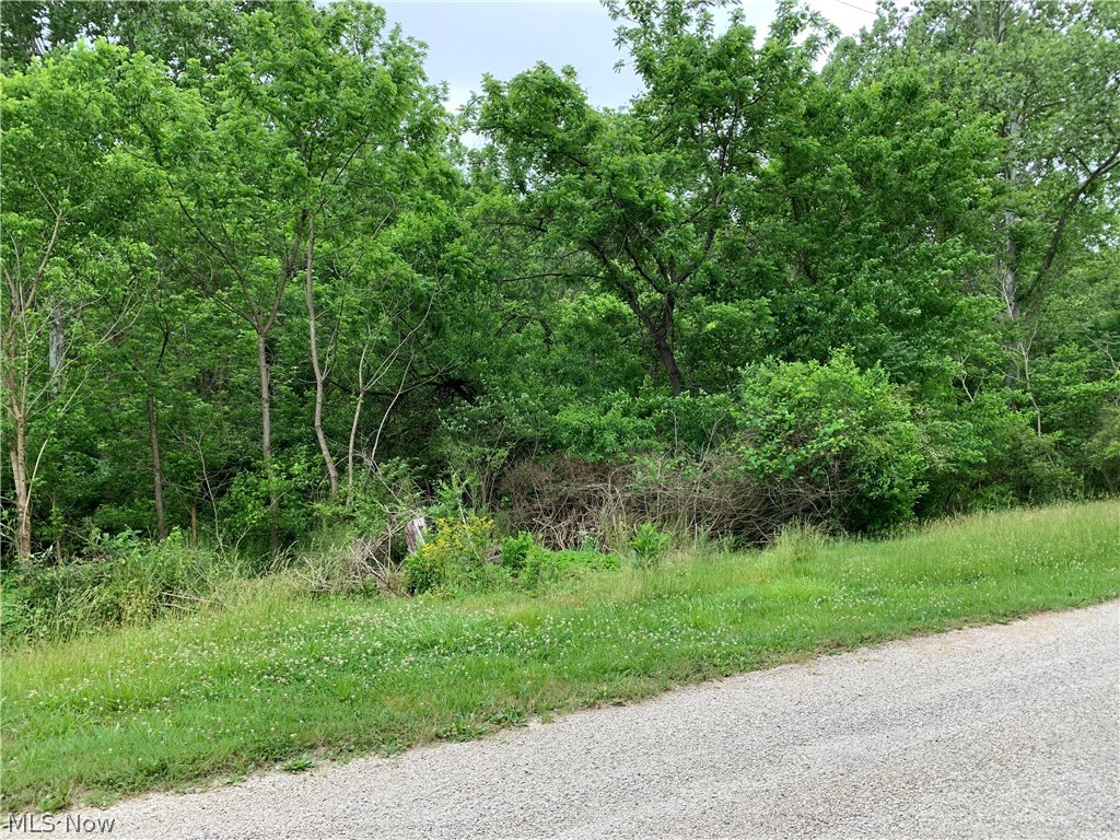 3955 Wedgewood Drive Mcconnelsville OH 43756