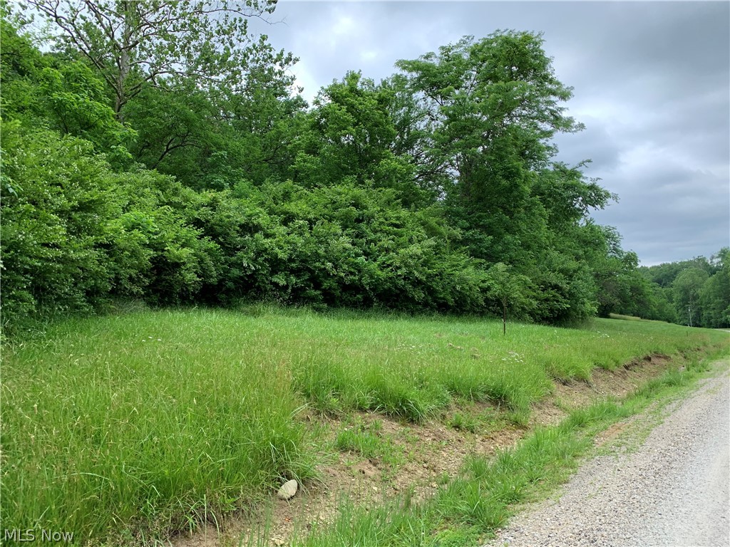3955 Wedgewood Drive Mcconnelsville OH 43756