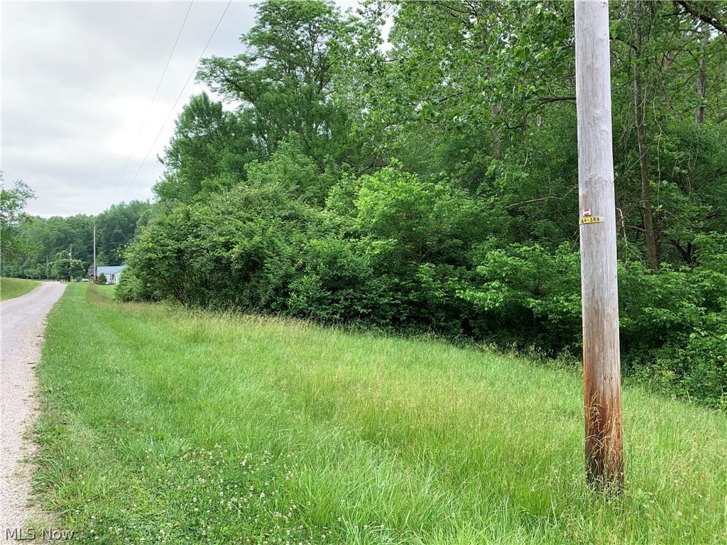 3955 Wedgewood Drive Mcconnelsville OH 43756