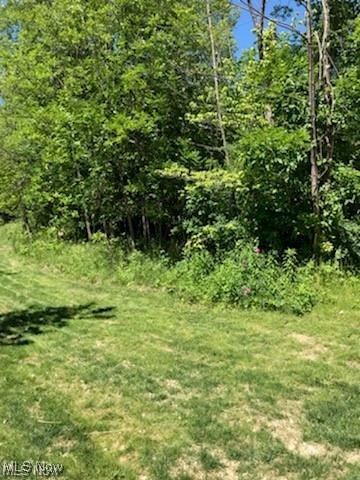 Ville Lunn Road Strongsville OH 44149