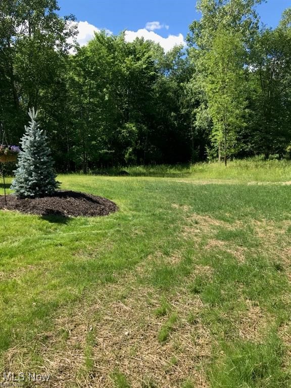 Ville Lunn Road Strongsville OH 44149