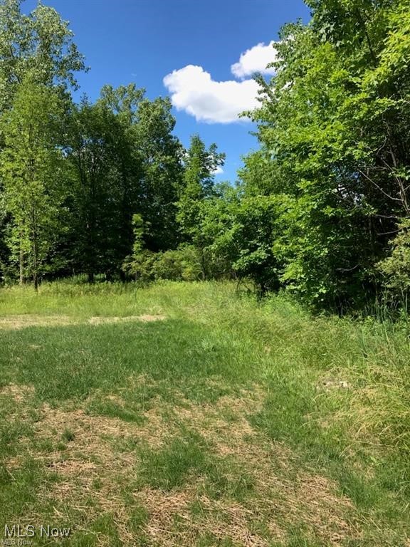 Ville Lunn Road Strongsville OH 44149