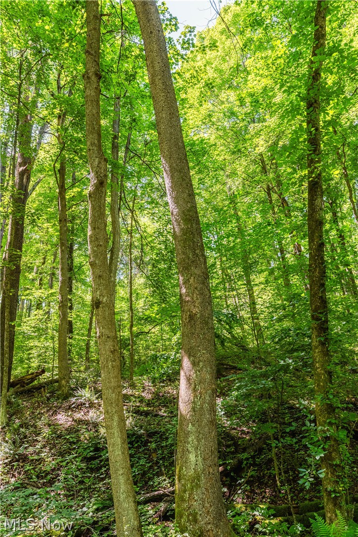 Norris Road Tippecanoe OH 44699