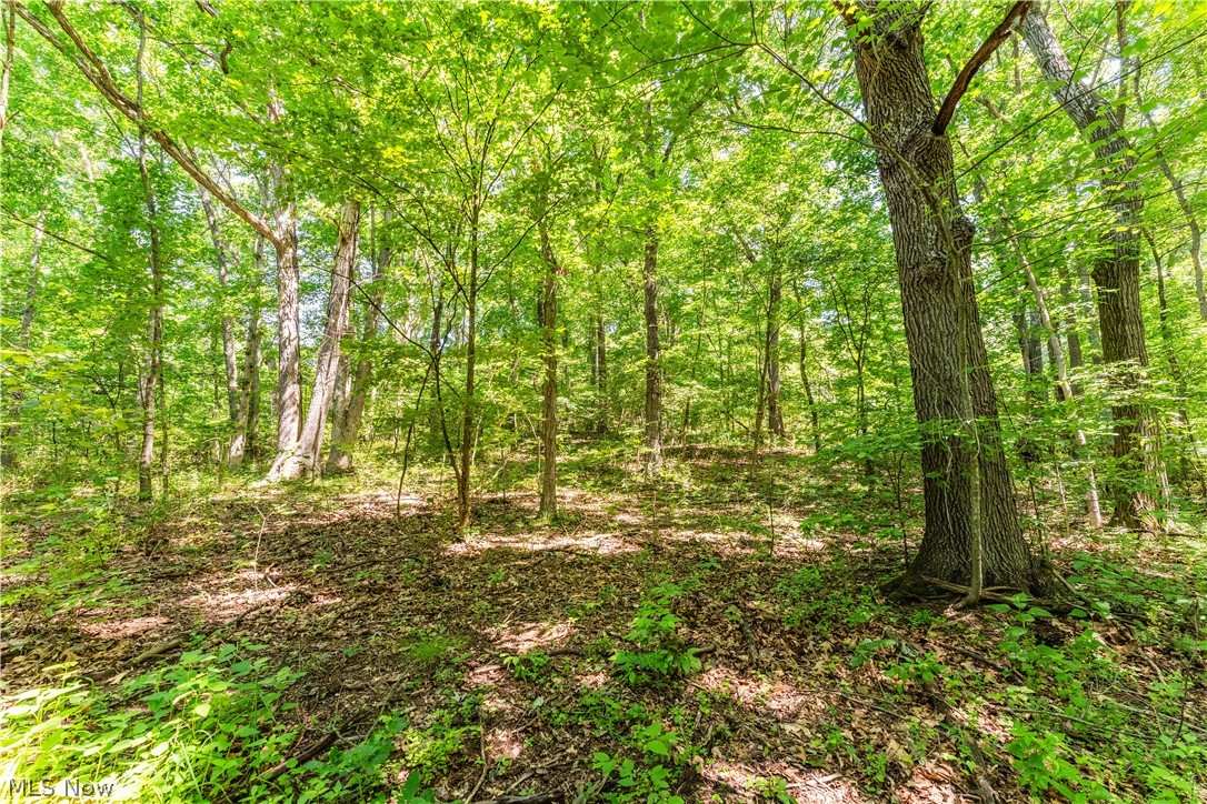 Norris Road Tippecanoe OH 44699