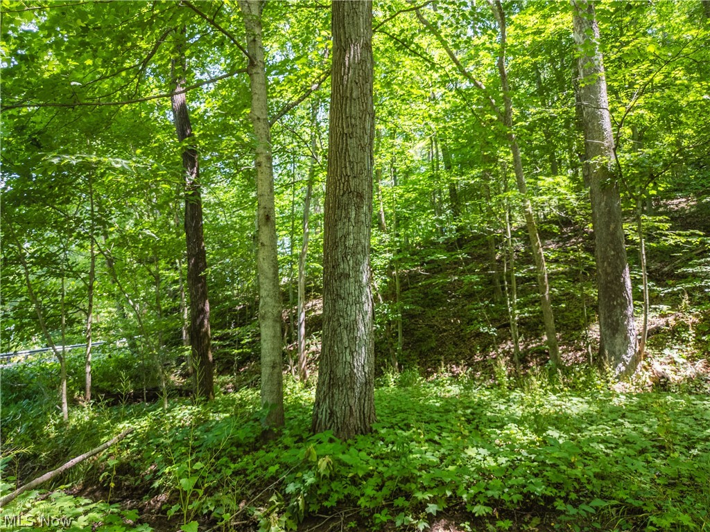 Norris Road Tippecanoe OH 44699