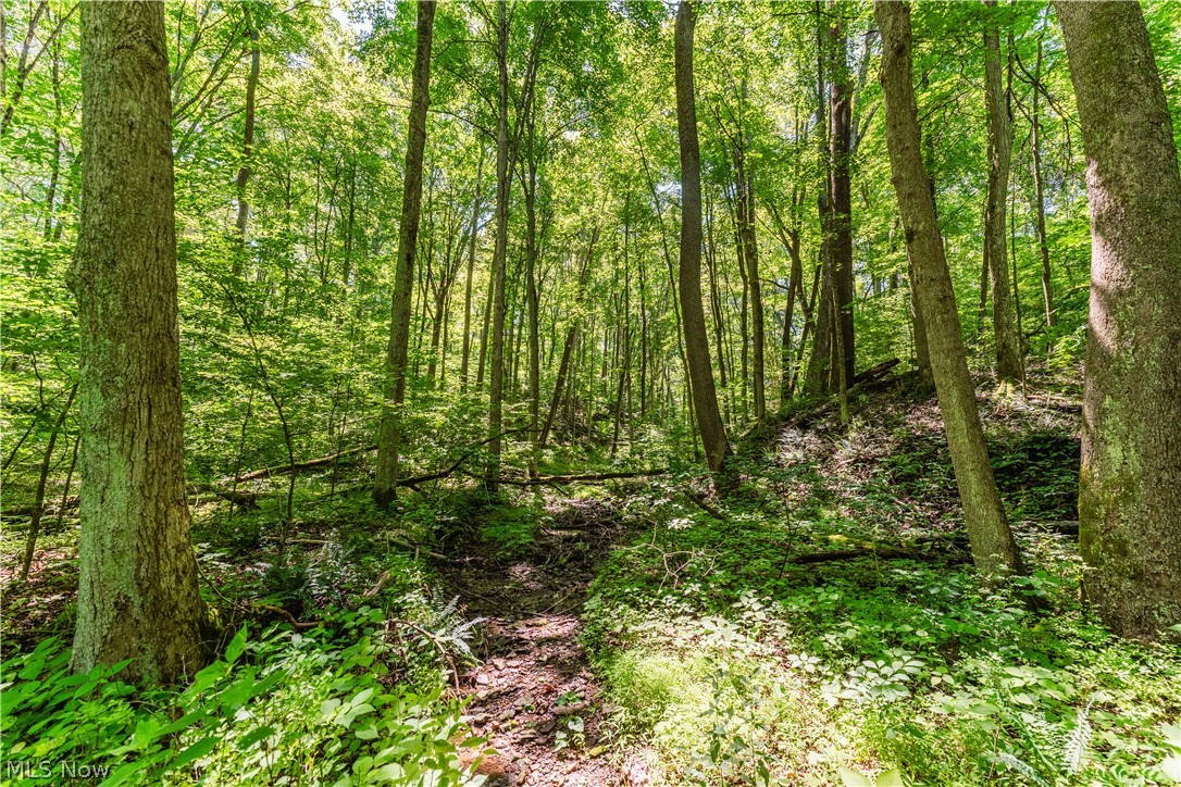 Norris Road Tippecanoe OH 44699