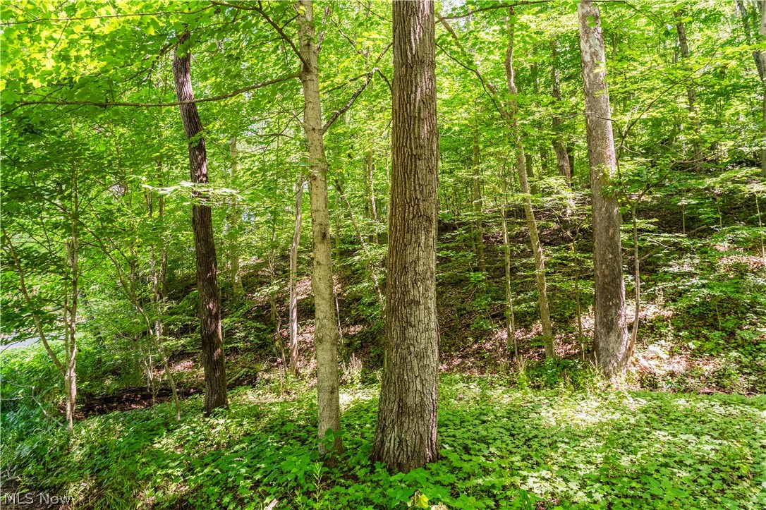 Norris Road Tippecanoe OH 44699