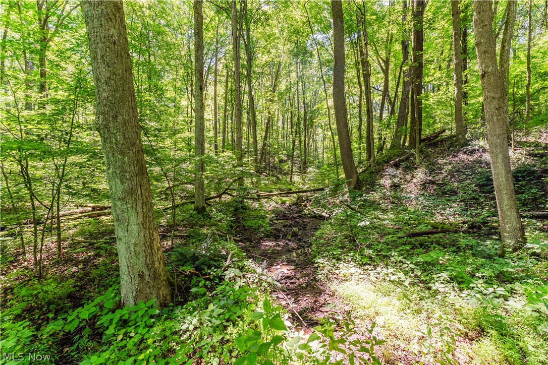 Norris Road Tippecanoe OH 44699