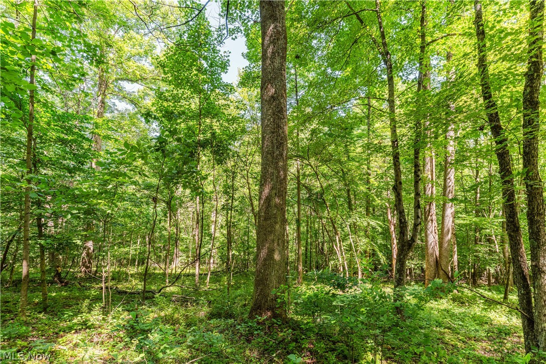 Norris Road Tippecanoe OH 44699