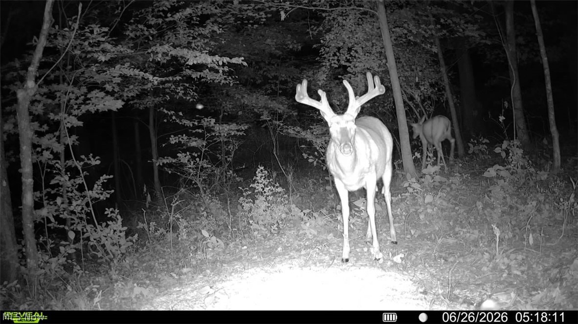 Norris Road Tippecanoe OH 44699