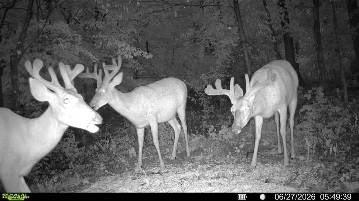 Norris Road Tippecanoe OH 44699