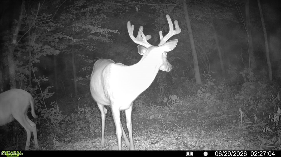 Norris Road Tippecanoe OH 44699