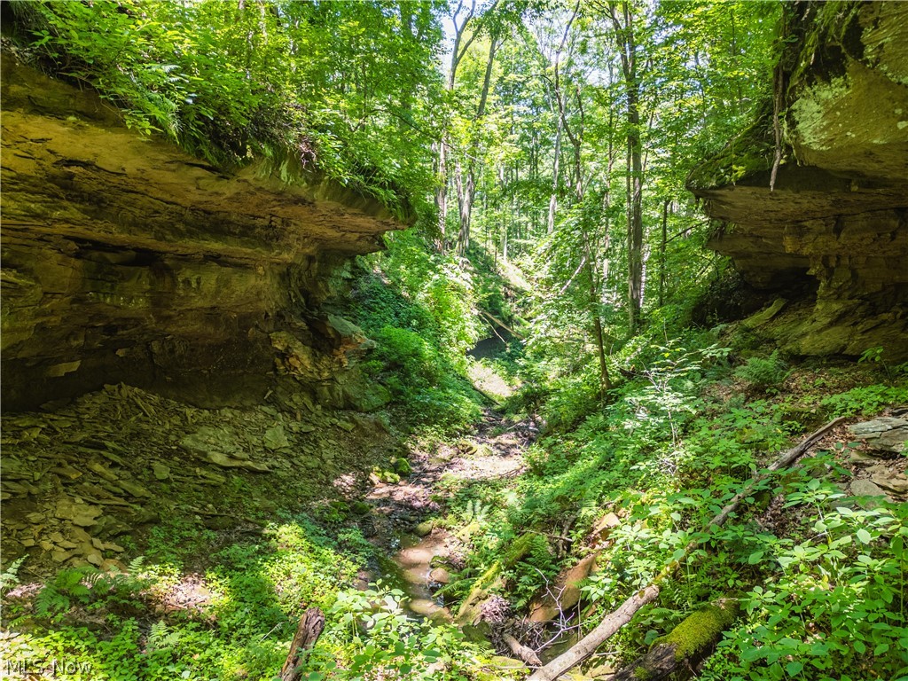 Norris Road Tippecanoe OH 44699