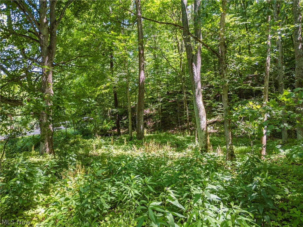 Norris Road Tippecanoe OH 44699