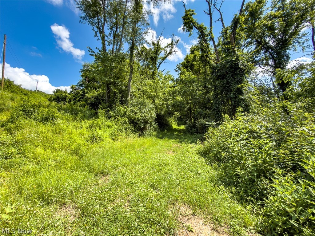 0 Whiskey Run Road Quaker City OH 43773