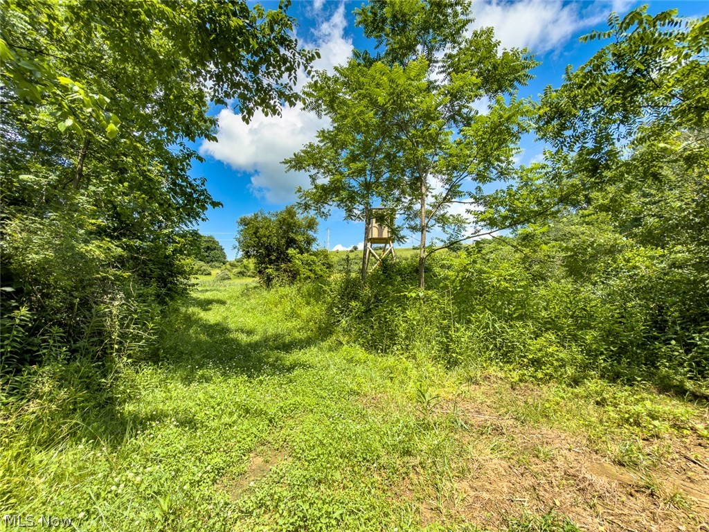 0 Whiskey Run Road Quaker City OH 43773