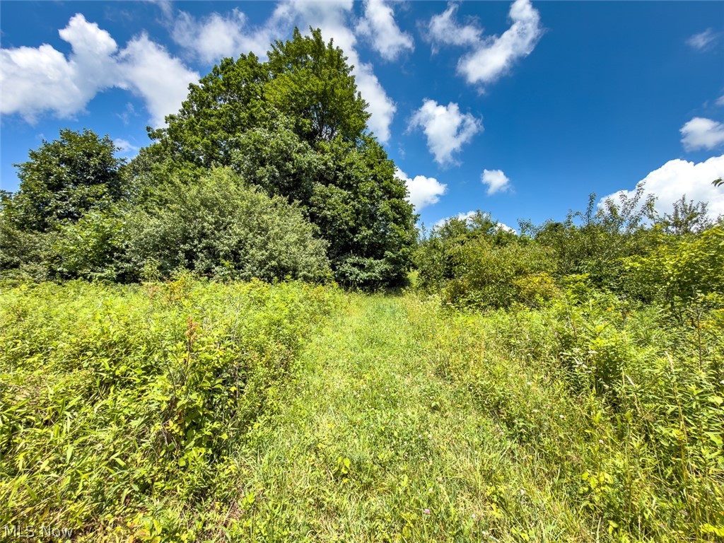 0 Whiskey Run Road Quaker City OH 43773