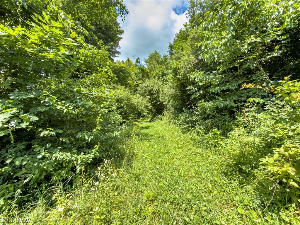0 Whiskey Run Road Quaker City OH 43773