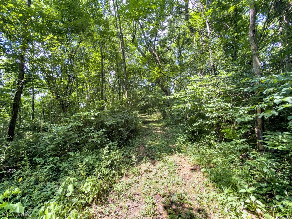 0 Whiskey Run Road Quaker City OH 43773