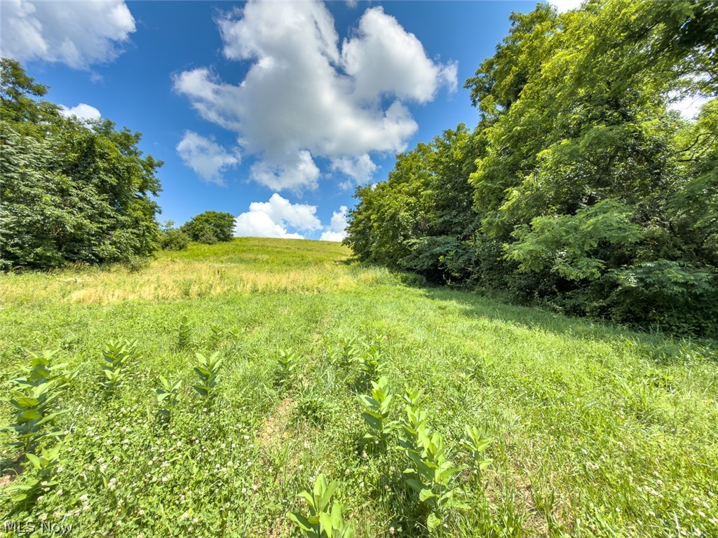 0 Whiskey Run Road Quaker City OH 43773