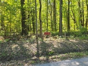 3648 Woodside Geneva OH 44041