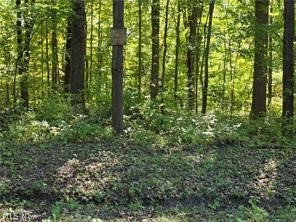 3648 Woodside Geneva OH 44041
