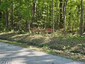 3648 Woodside Geneva OH 44041