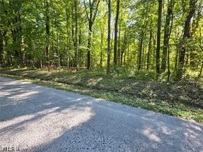 3648 Woodside Geneva OH 44041