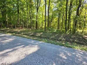 3648 Woodside Geneva OH 44041