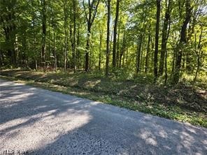3648 Woodside Geneva OH 44041