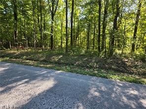 3648 Woodside Geneva OH 44041