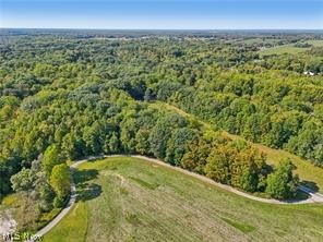 3648 Woodside Geneva OH 44041