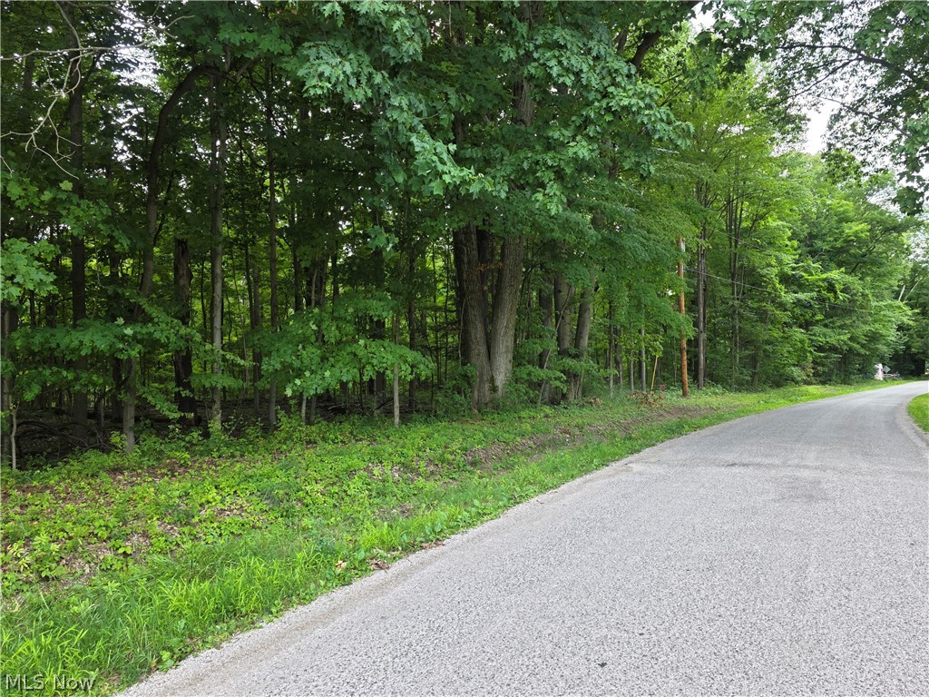 3648 Woodside Geneva OH 44041