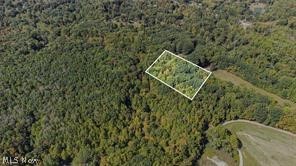 3648 Woodside Geneva OH 44041
