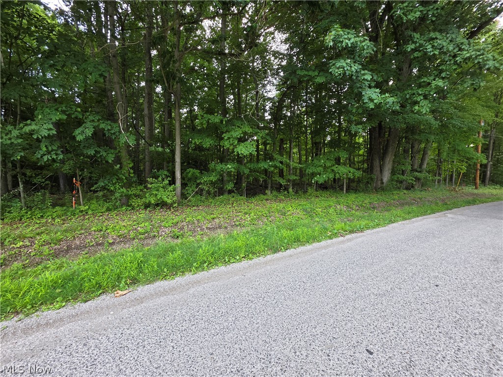 3648 Woodside Geneva OH 44041