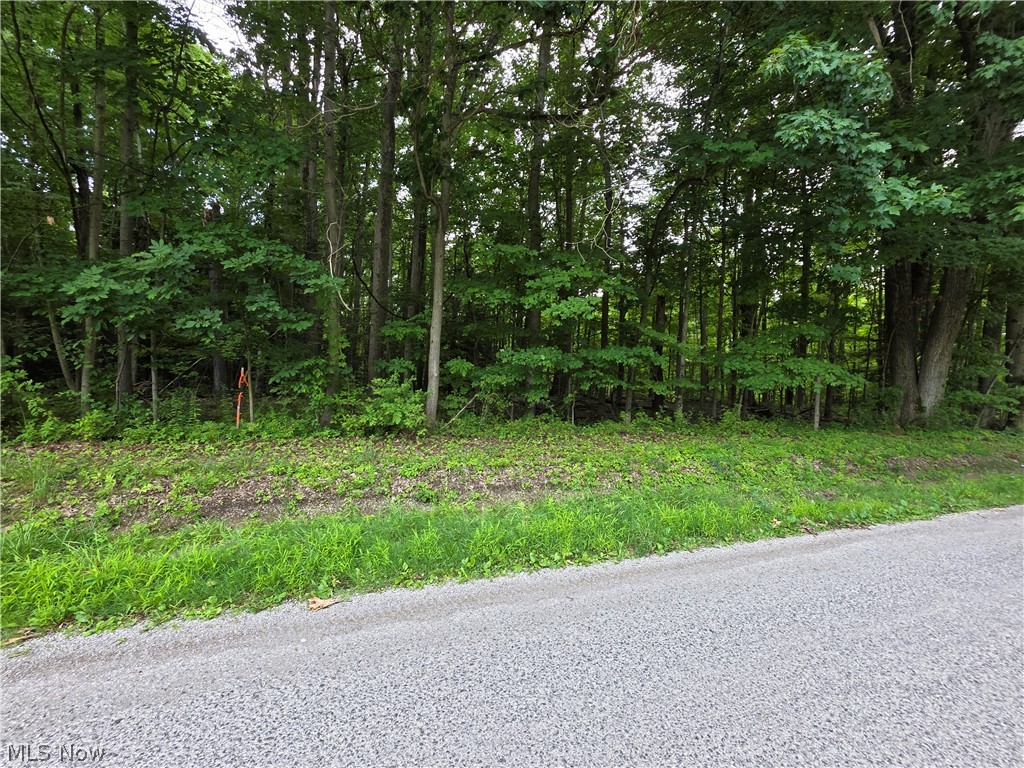 3648 Woodside Geneva OH 44041