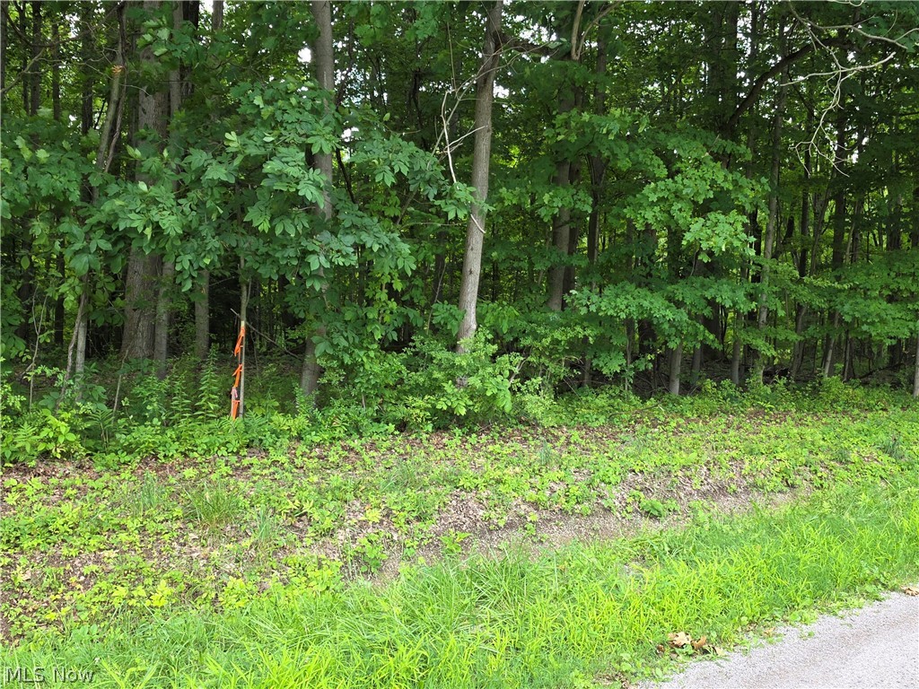 3648 Woodside Geneva OH 44041